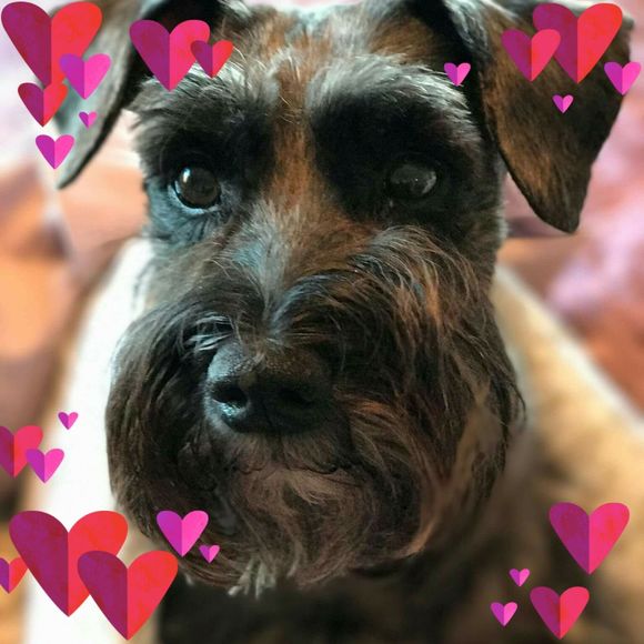 Meet your Posher, Patricia - Picture 1 of 1